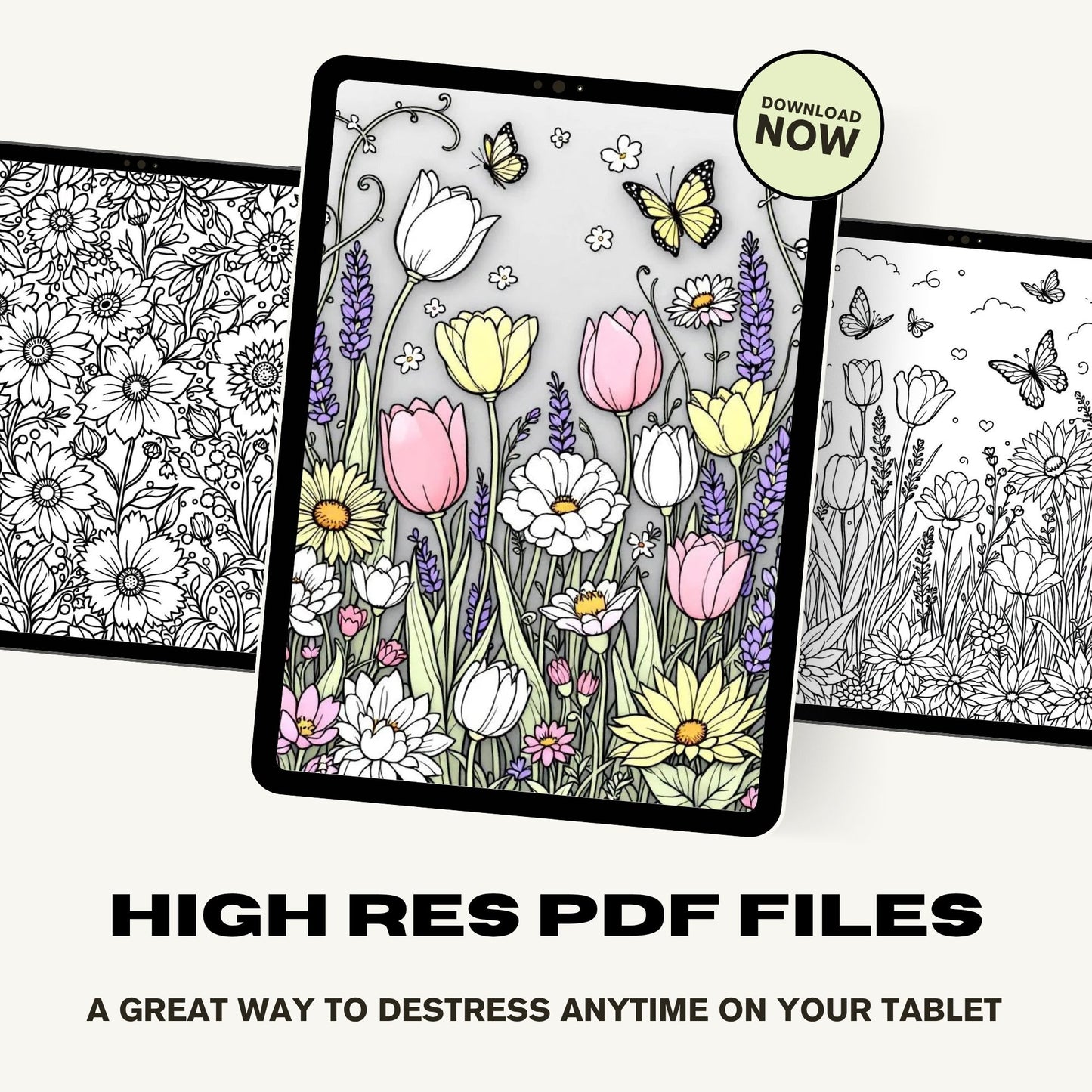 Floral Frenzy Colouring Book